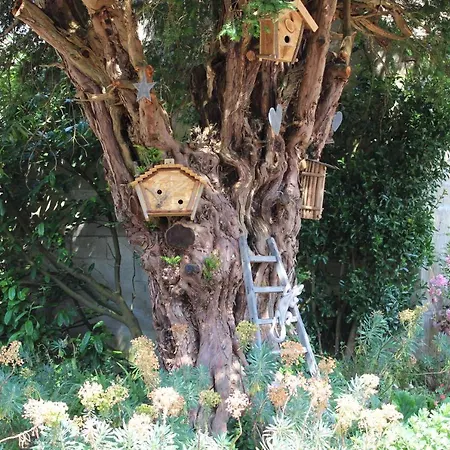 La Maison Aux Chimères *
